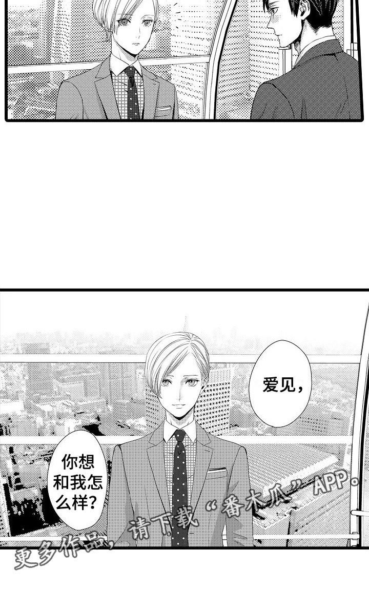 《紫水晶的忧郁》漫画最新章节第9章：摩天轮上免费下拉式在线观看章节第【1】张图片