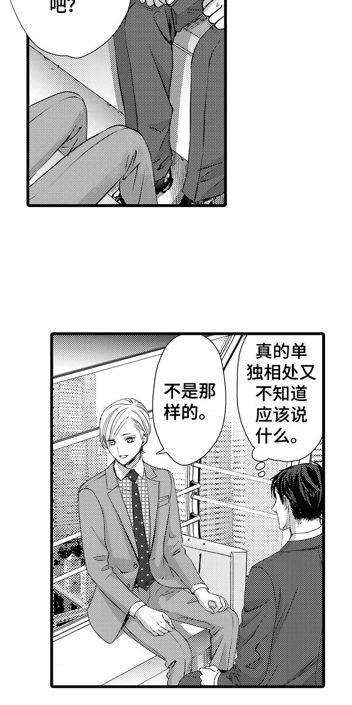 《紫水晶的忧郁》漫画最新章节第9章：摩天轮上免费下拉式在线观看章节第【4】张图片