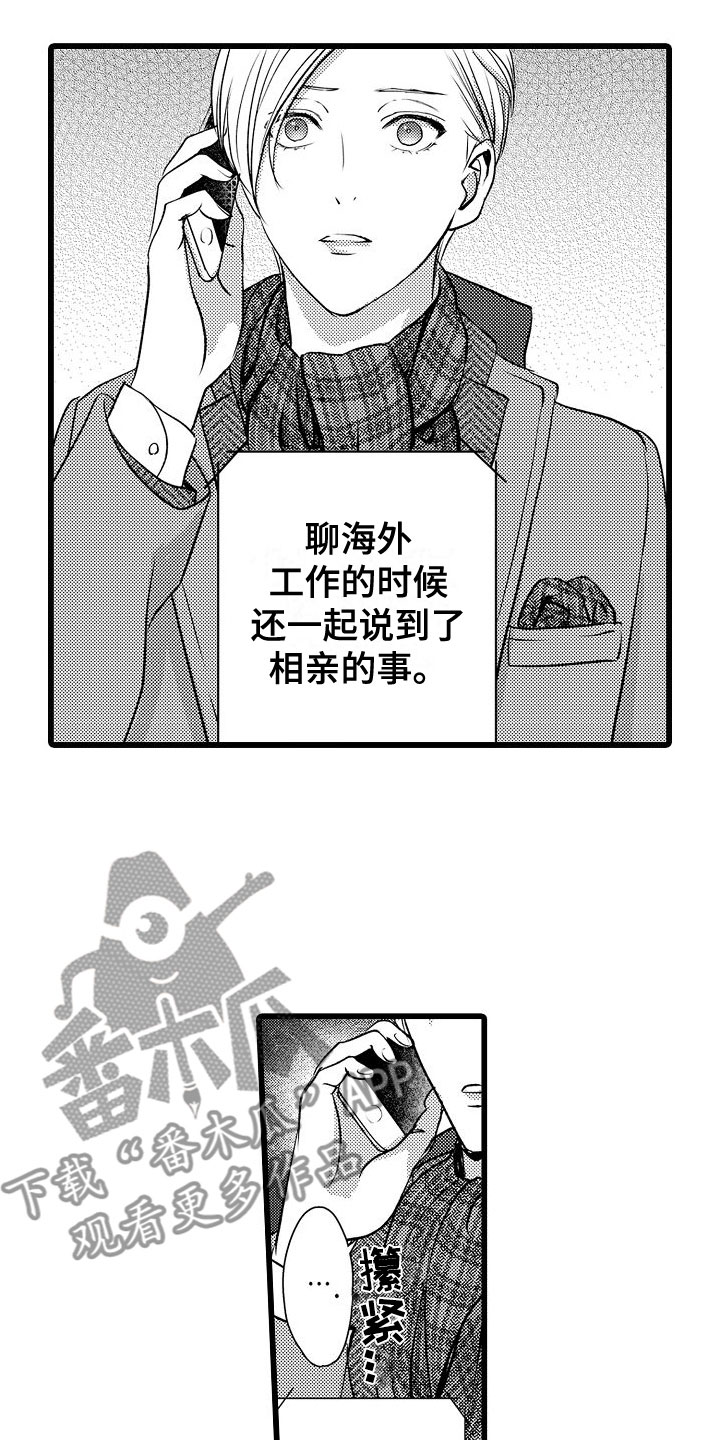 《紫水晶的忧郁》漫画最新章节第17章：拒绝免费下拉式在线观看章节第【9】张图片