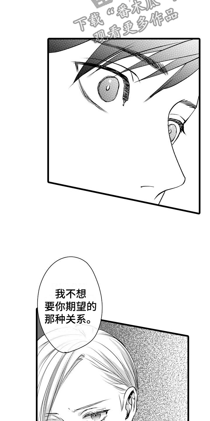 《紫水晶的忧郁》漫画最新章节第17章：拒绝免费下拉式在线观看章节第【4】张图片