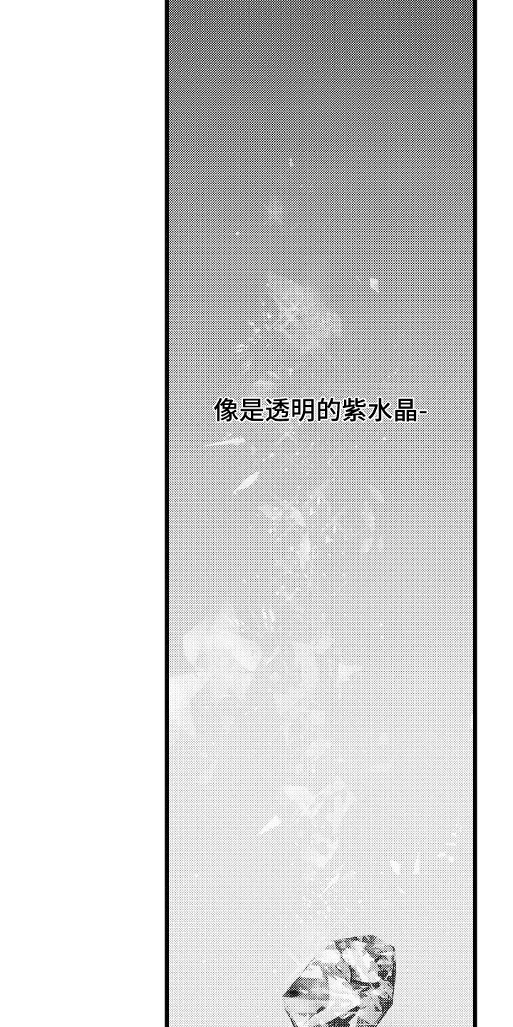 《紫水晶的忧郁》漫画最新章节第20章：去找他免费下拉式在线观看章节第【12】张图片