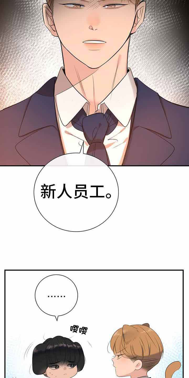 《老板的困境》漫画最新章节第14章：一起吃饭免费下拉式在线观看章节第【10】张图片