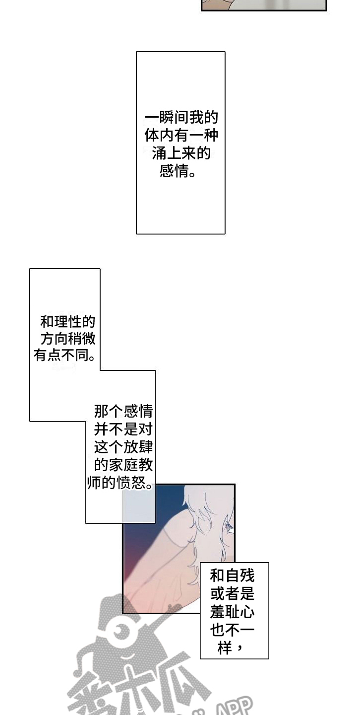 《新婚蜜旅》漫画最新章节第5章：不想输免费下拉式在线观看章节第【13】张图片