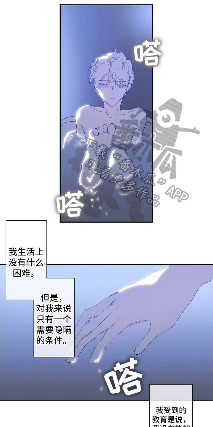 《新婚蜜旅》漫画最新章节第10章：小愿望免费下拉式在线观看章节第【13】张图片