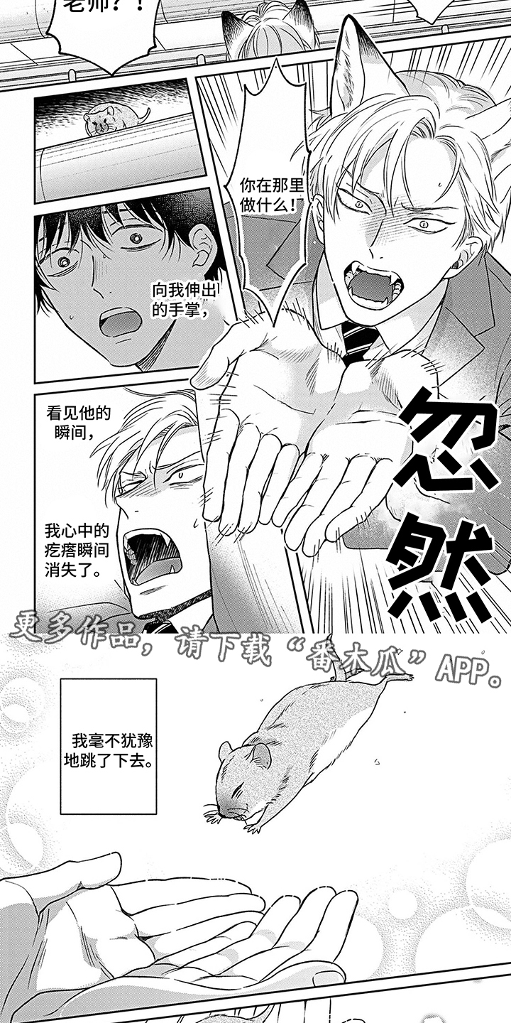 《欧米茄让我流泪》漫画最新章节第17章：真心话免费下拉式在线观看章节第【6】张图片