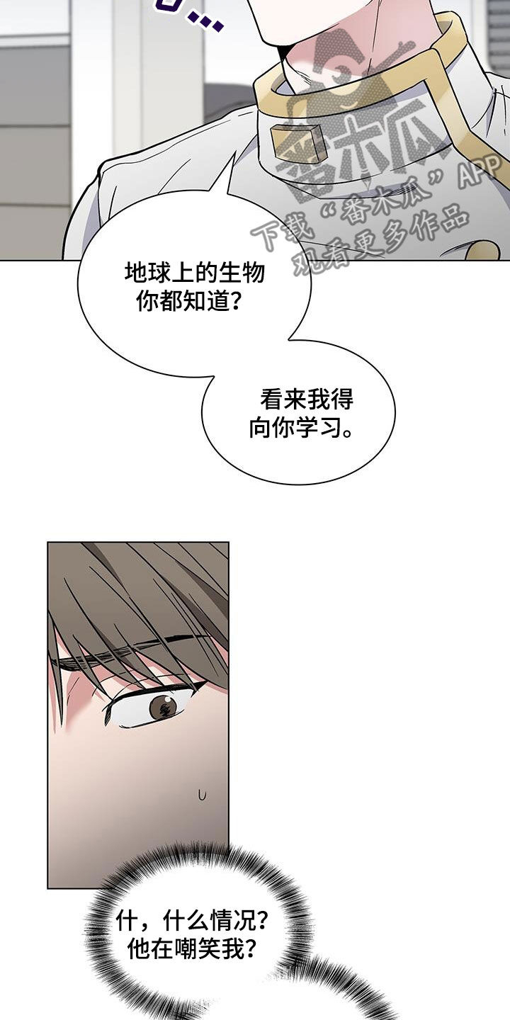 《星星有你》漫画最新章节第38章：等一下免费下拉式在线观看章节第【5】张图片