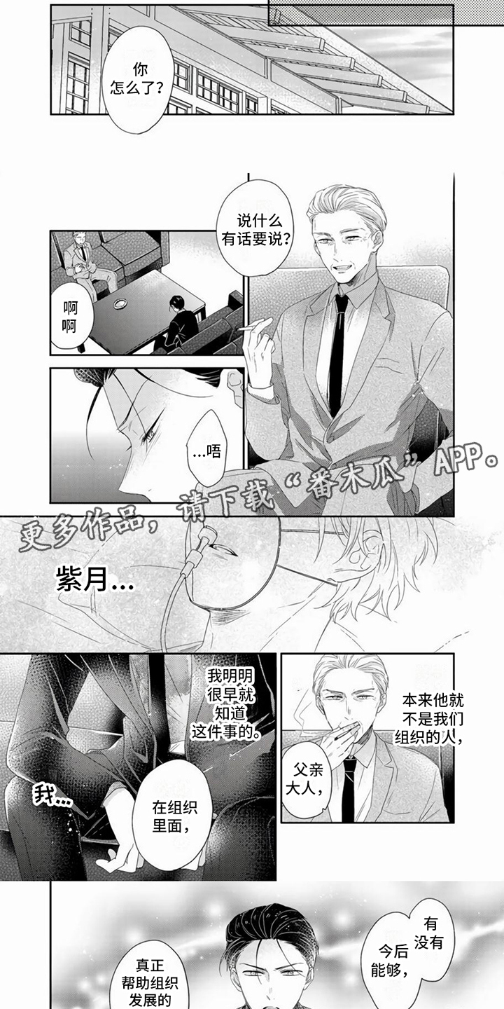 《贤婿入门》漫画最新章节第13章：下定决心免费下拉式在线观看章节第【5】张图片