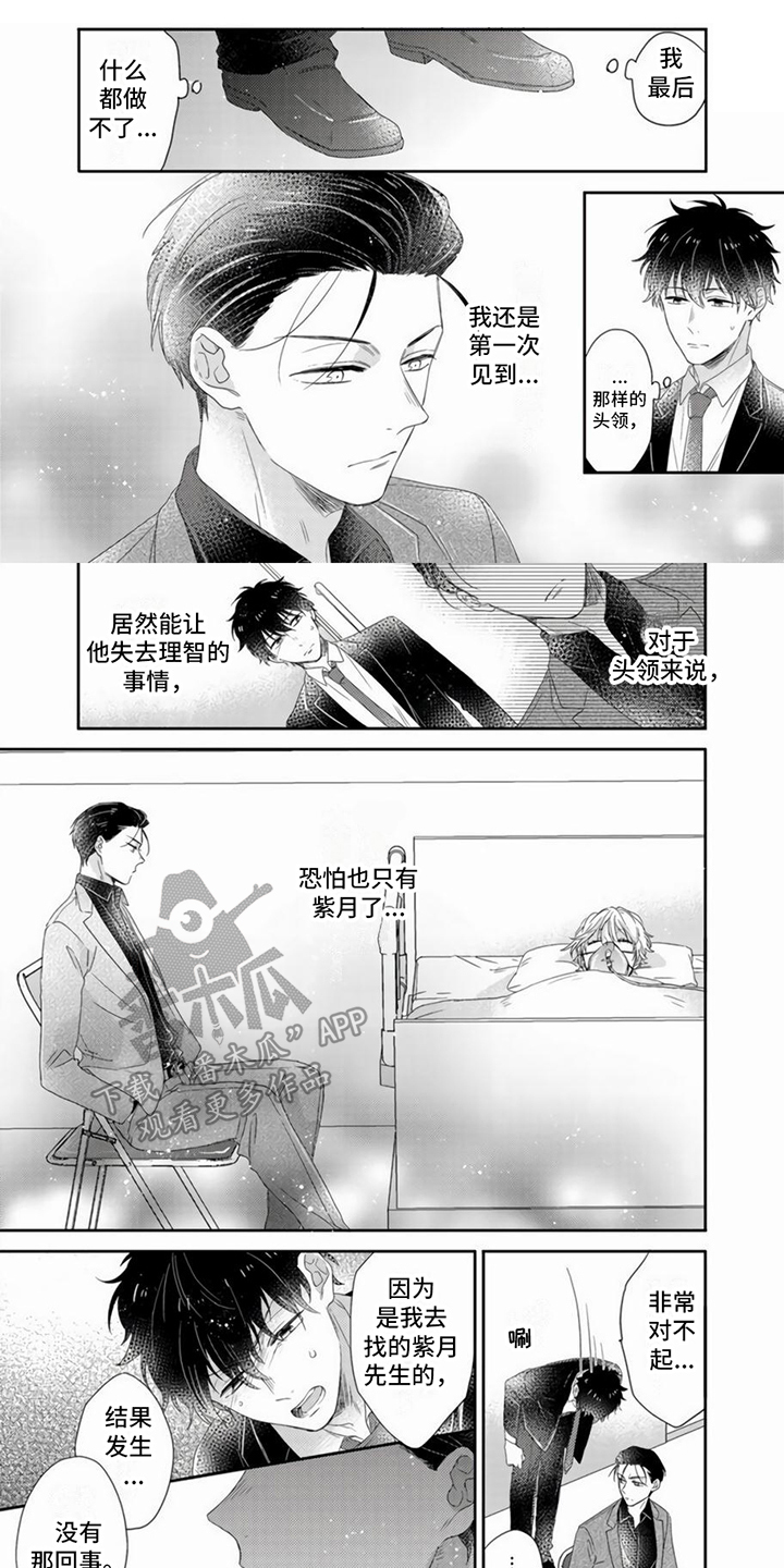 《贤婿入门》漫画最新章节第13章：下定决心免费下拉式在线观看章节第【8】张图片