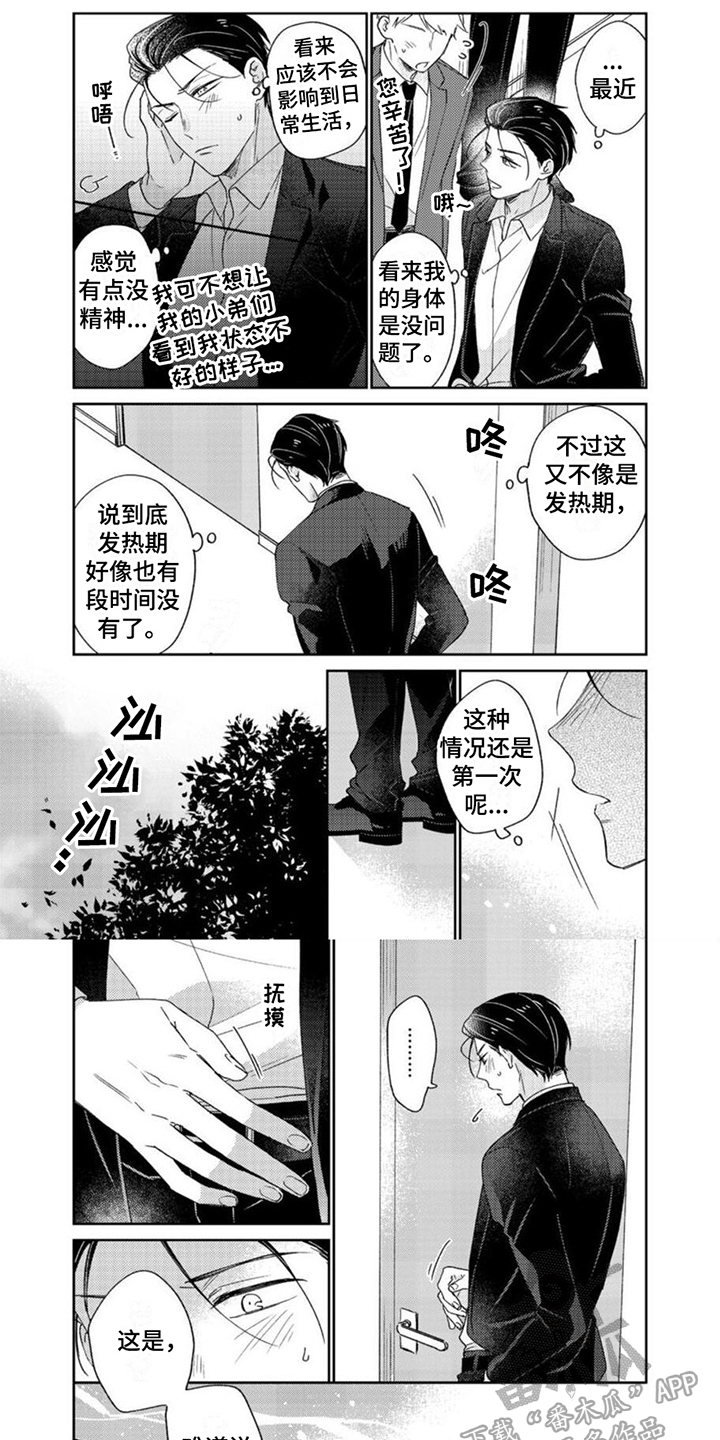 《贤婿入门》漫画最新章节第27章：标记免费下拉式在线观看章节第【2】张图片