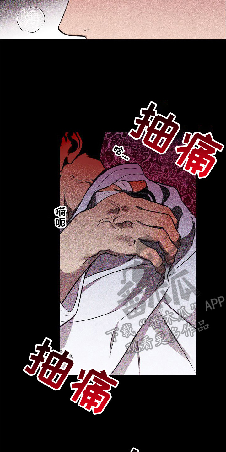 《柔道情缘》漫画最新章节第19章：合适的借口 免费下拉式在线观看章节第【13】张图片