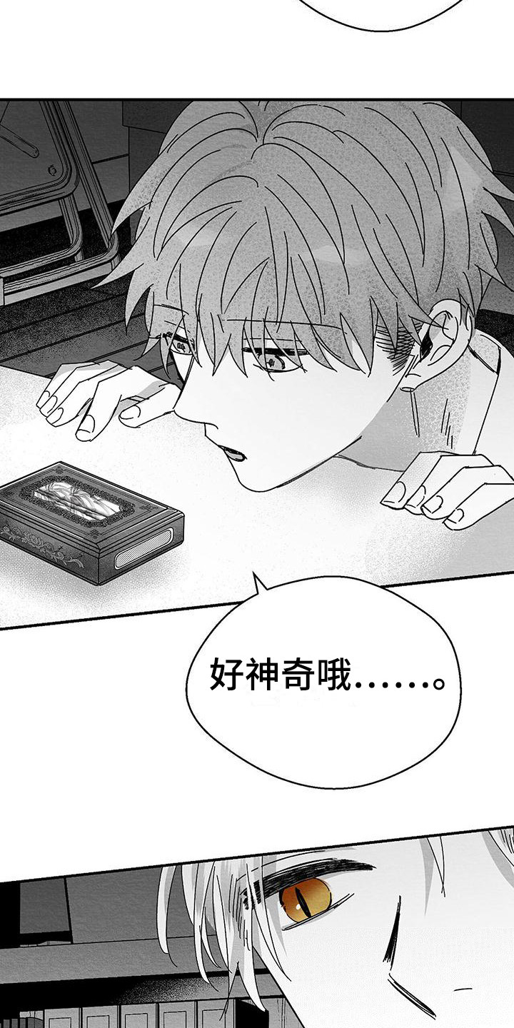 《白鳞》漫画最新章节第1章：小盒子免费下拉式在线观看章节第【6】张图片