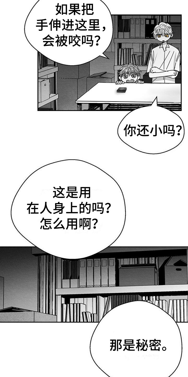 《白鳞》漫画最新章节第1章：小盒子免费下拉式在线观看章节第【7】张图片