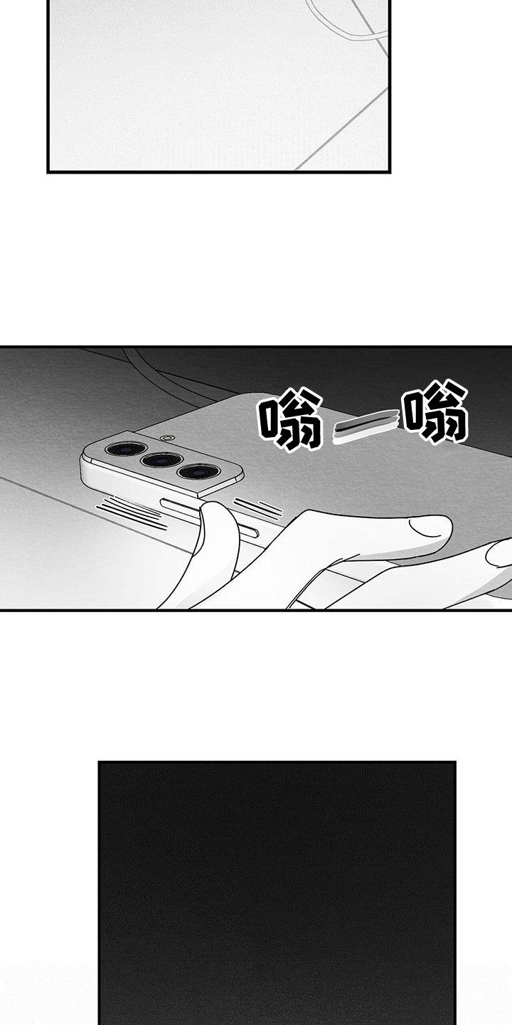 《白鳞》漫画最新章节第2章：信息免费下拉式在线观看章节第【13】张图片