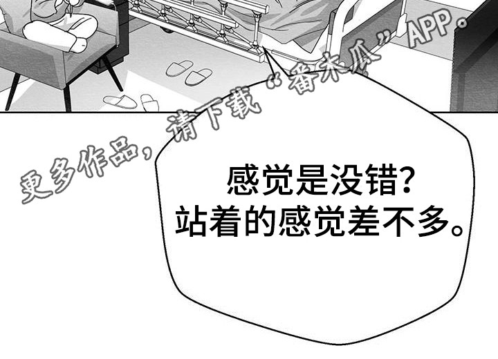 《白鳞》漫画最新章节第5章：新闻报道免费下拉式在线观看章节第【1】张图片