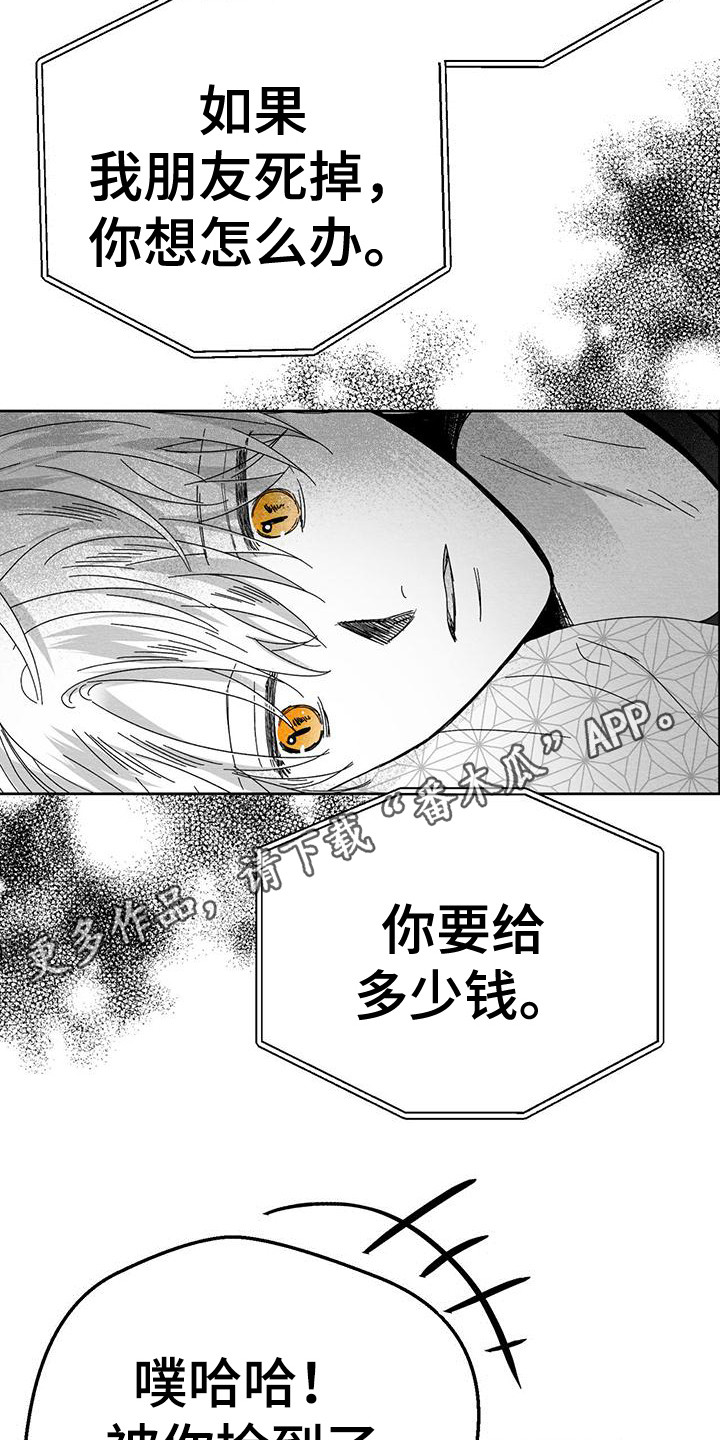 《白鳞》漫画最新章节第7章：电话联络免费下拉式在线观看章节第【15】张图片