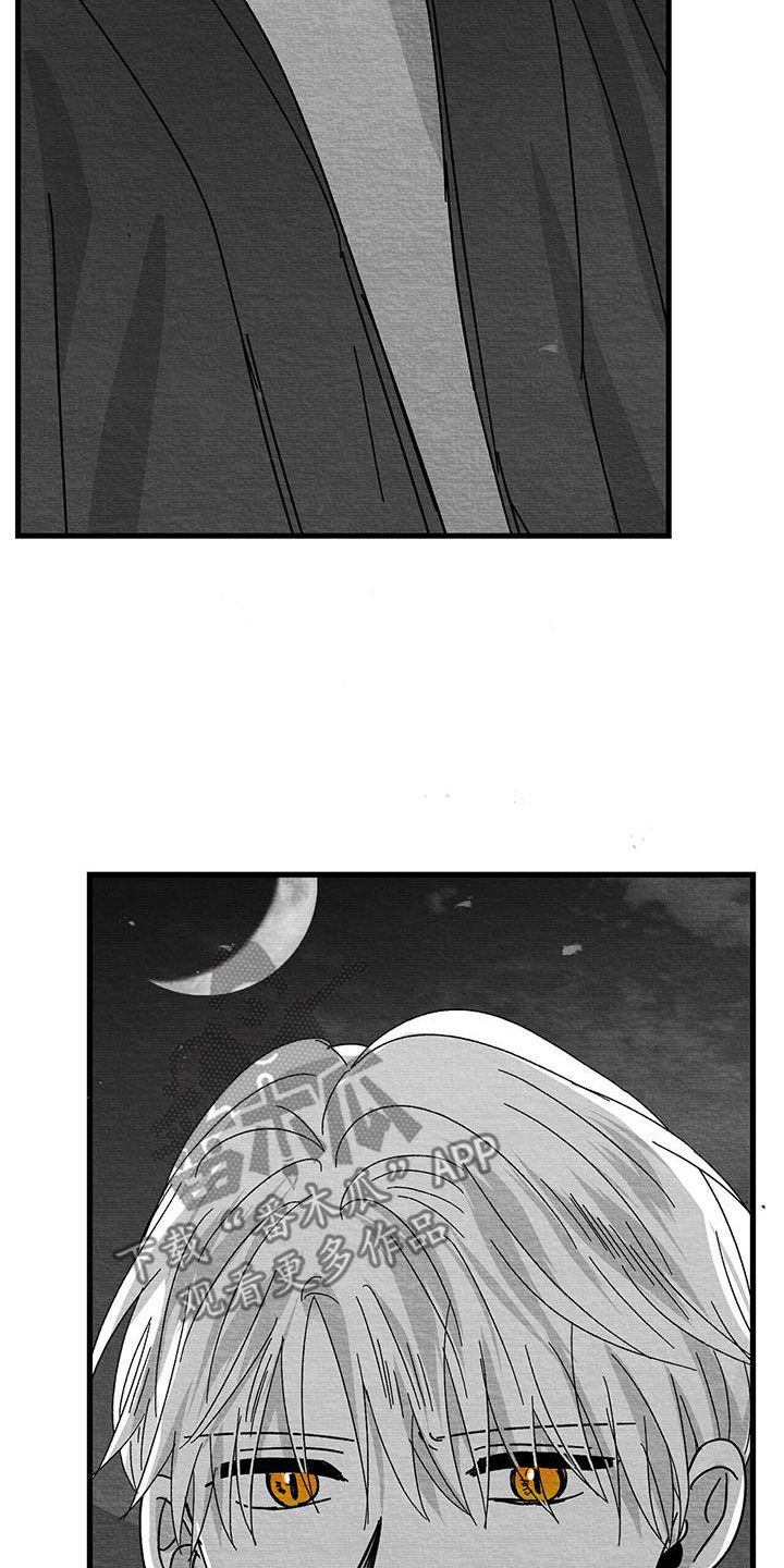 《白鳞》漫画最新章节第21章：乱来免费下拉式在线观看章节第【18】张图片