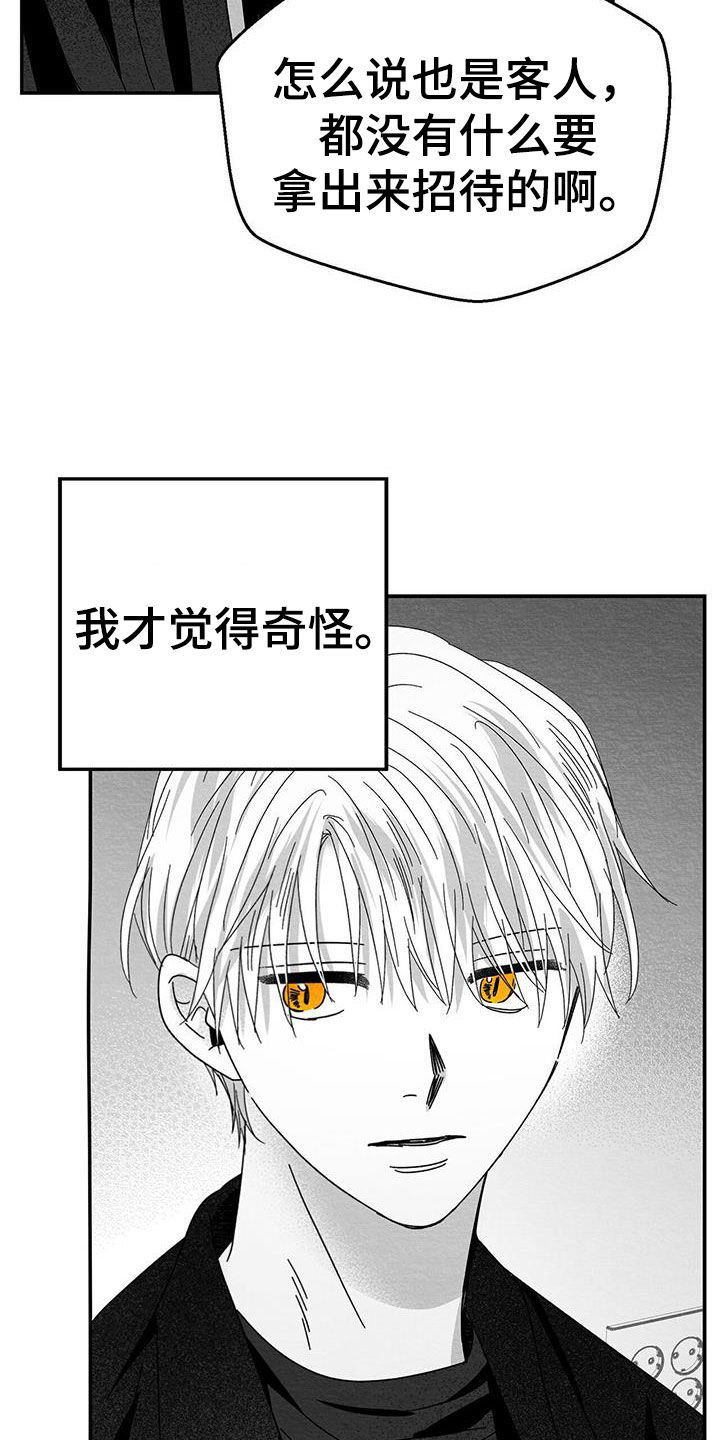 《白鳞》漫画最新章节第25章：求你免费下拉式在线观看章节第【17】张图片