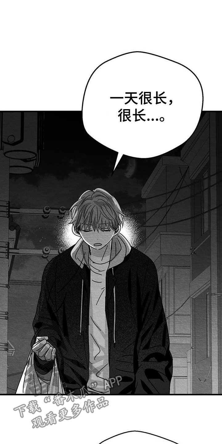 《白鳞》漫画最新章节第25章：求你免费下拉式在线观看章节第【5】张图片