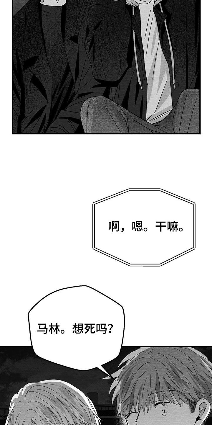 《白鳞》漫画最新章节第27章：是诅咒吗免费下拉式在线观看章节第【19】张图片