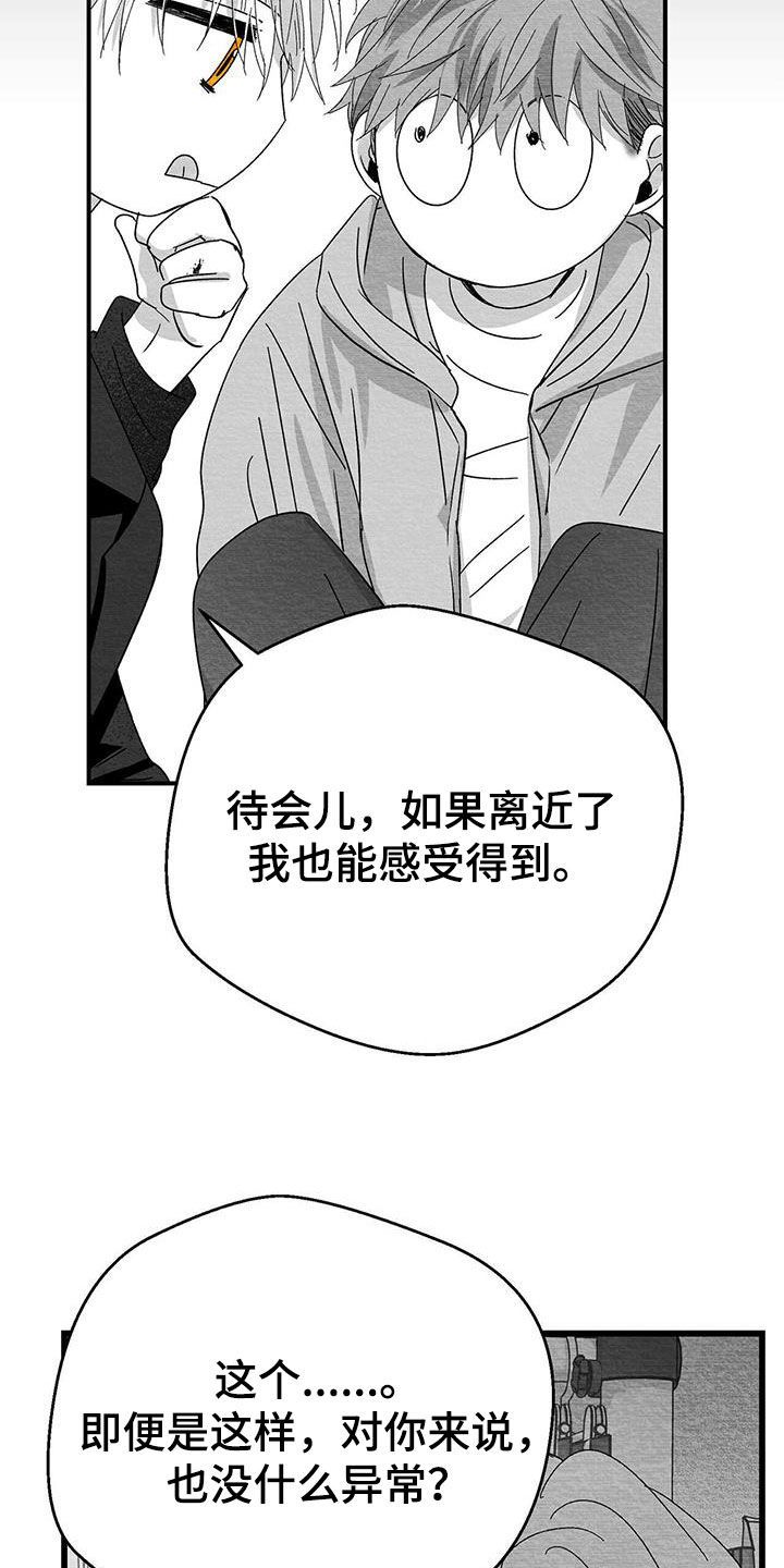 《白鳞》漫画最新章节第28章：变数免费下拉式在线观看章节第【26】张图片