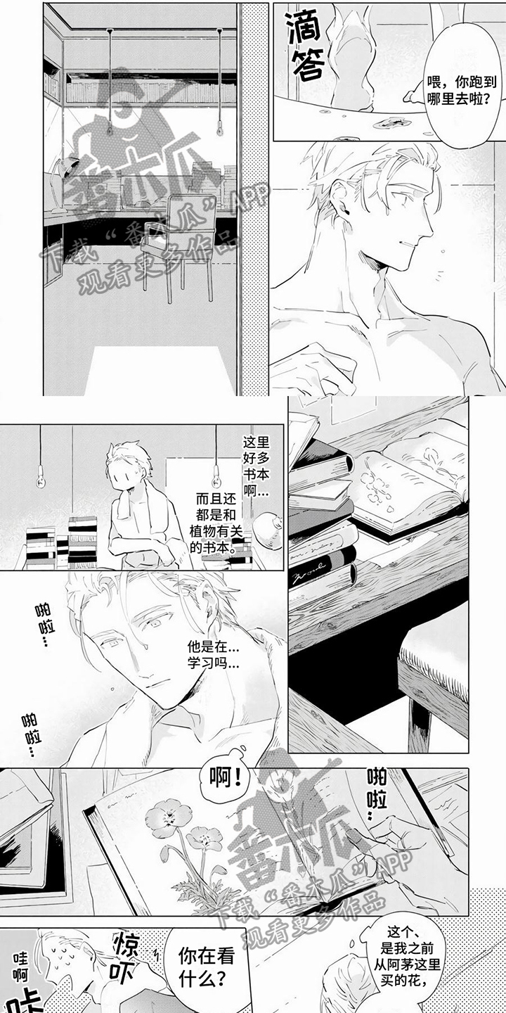 《茅花与千阳》漫画最新章节第6章：温柔免费下拉式在线观看章节第【7】张图片