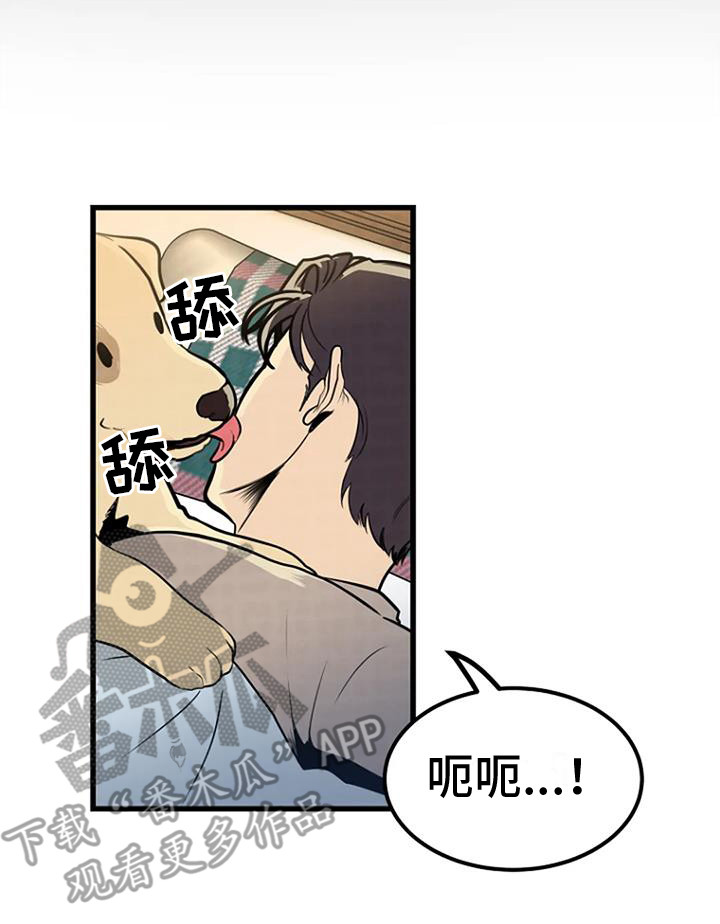 《漂尸谜案》漫画最新章节第15章： 过去的梦免费下拉式在线观看章节第【16】张图片