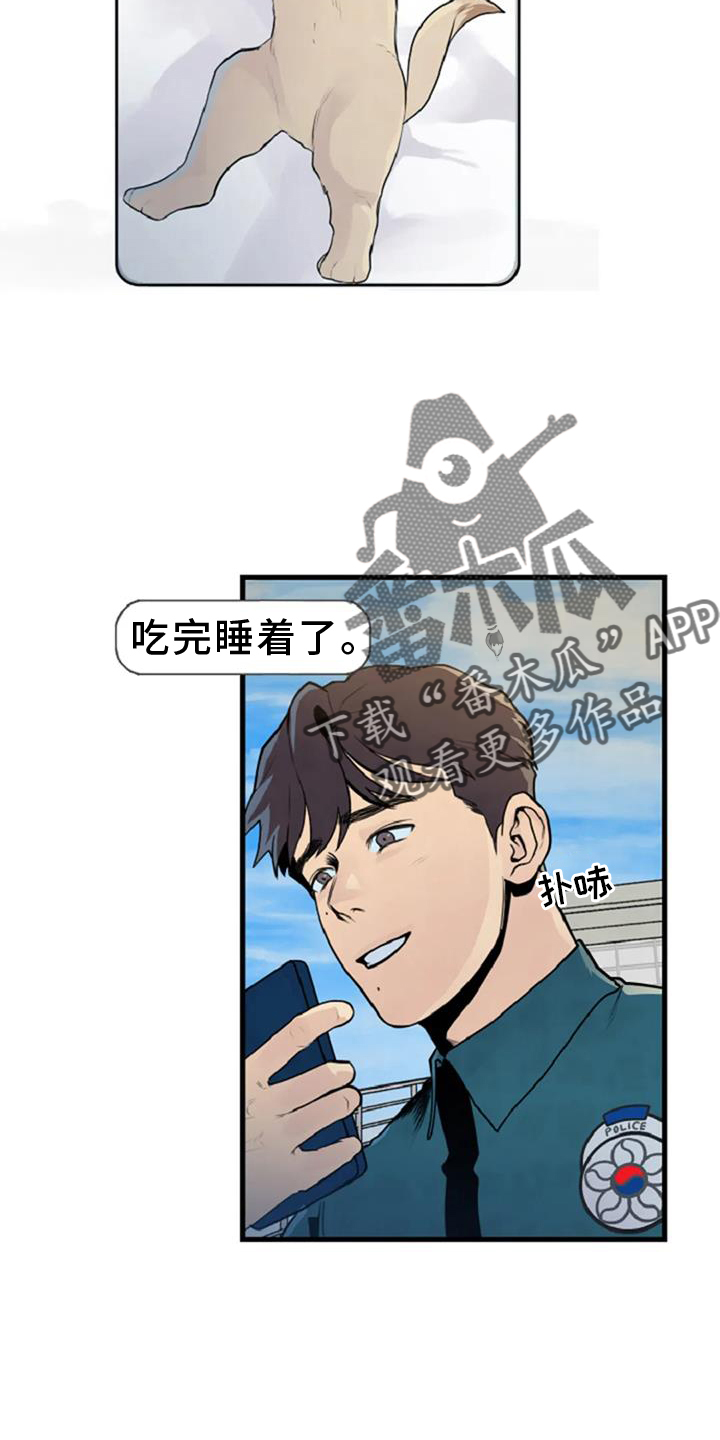 《漂尸谜案》漫画最新章节第56章：案件免费下拉式在线观看章节第【15】张图片