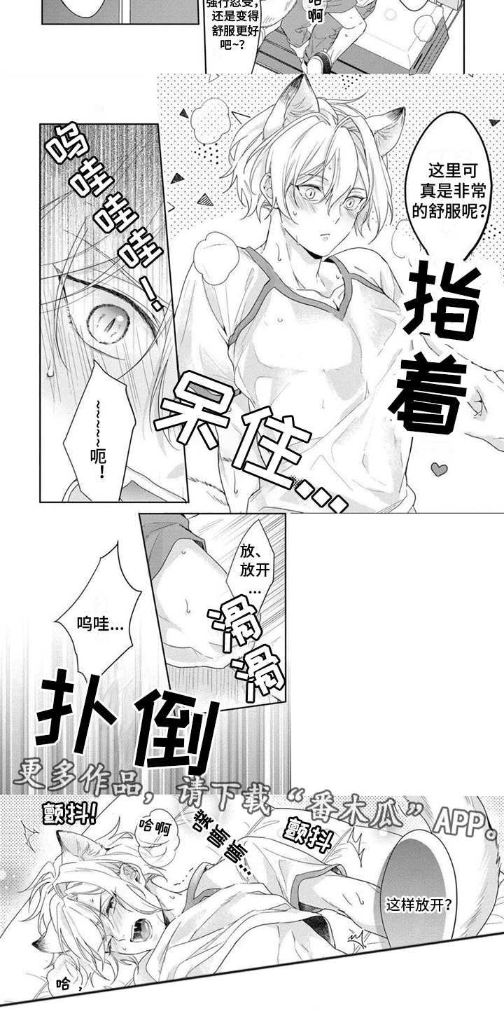 《美味的狼先生》漫画最新章节第6章：别乱动免费下拉式在线观看章节第【4】张图片