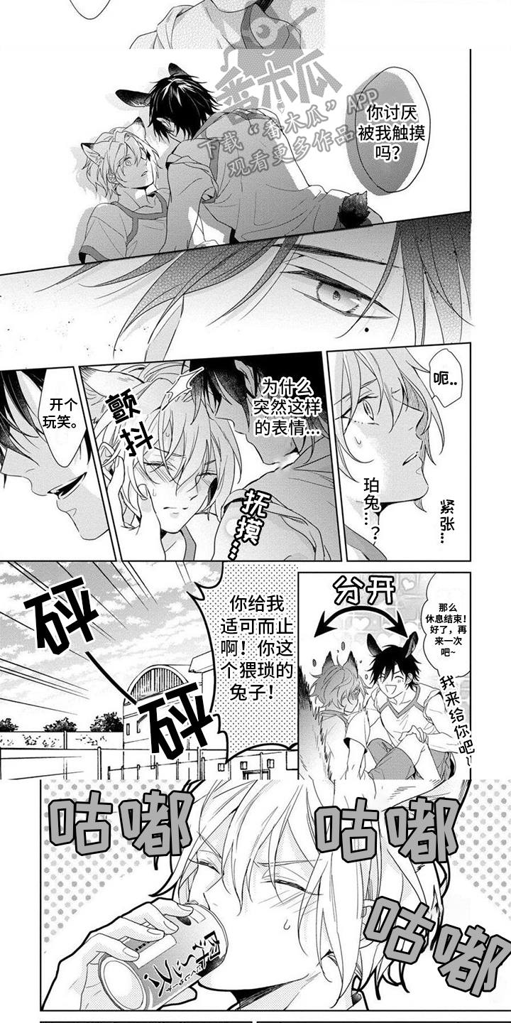 《美味的狼先生》漫画最新章节第6章：别乱动免费下拉式在线观看章节第【2】张图片