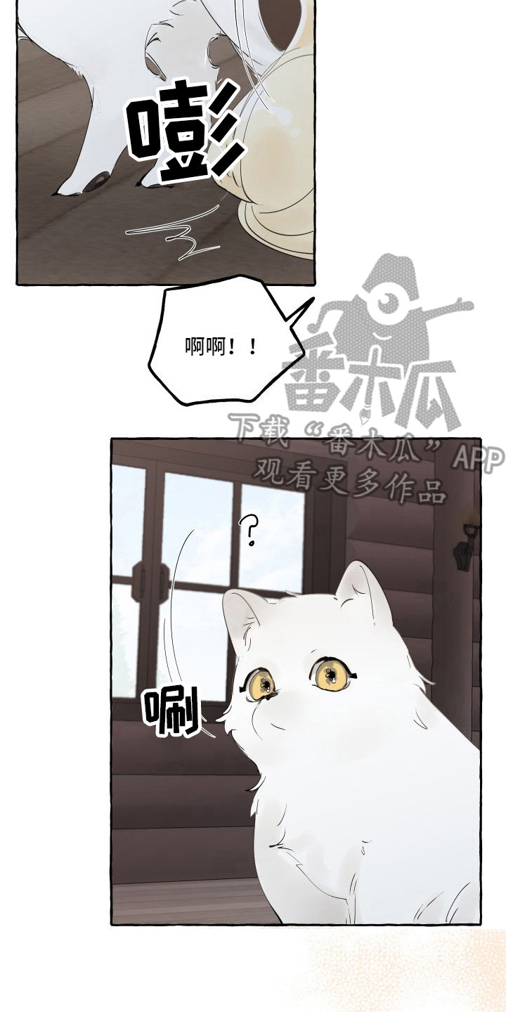 《春与冬的边界》漫画最新章节第13章：熟悉的身影免费下拉式在线观看章节第【6】张图片