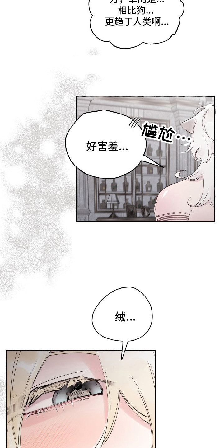 《春与冬的边界》漫画最新章节第19章：害羞免费下拉式在线观看章节第【17】张图片