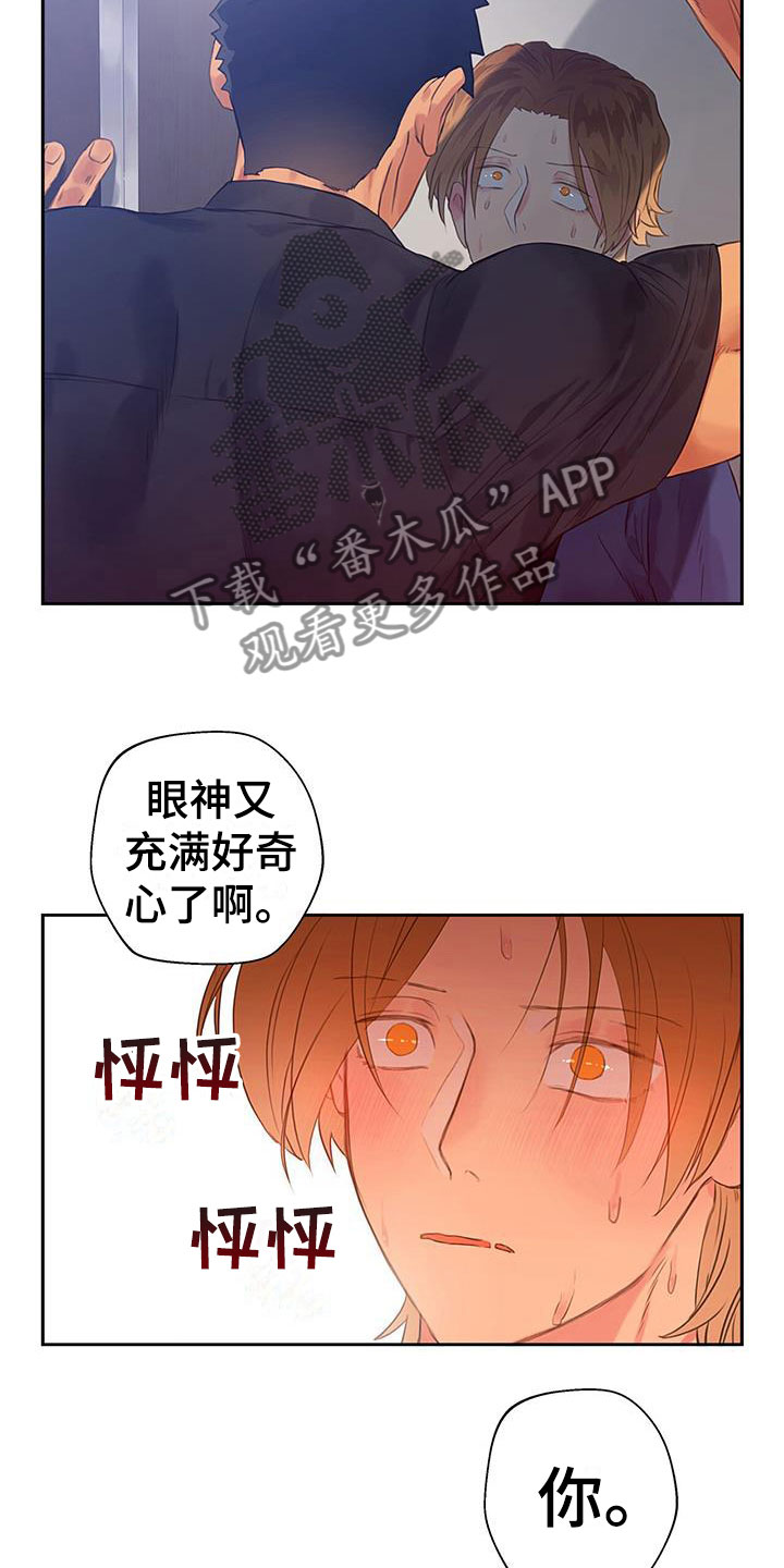 《警官别跑》漫画最新章节第8章：危险的人免费下拉式在线观看章节第【4】张图片