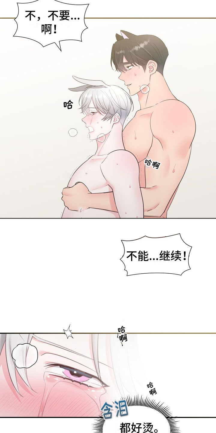 《豹子爱上兔》漫画最新章节第6章：不后悔免费下拉式在线观看章节第【6】张图片