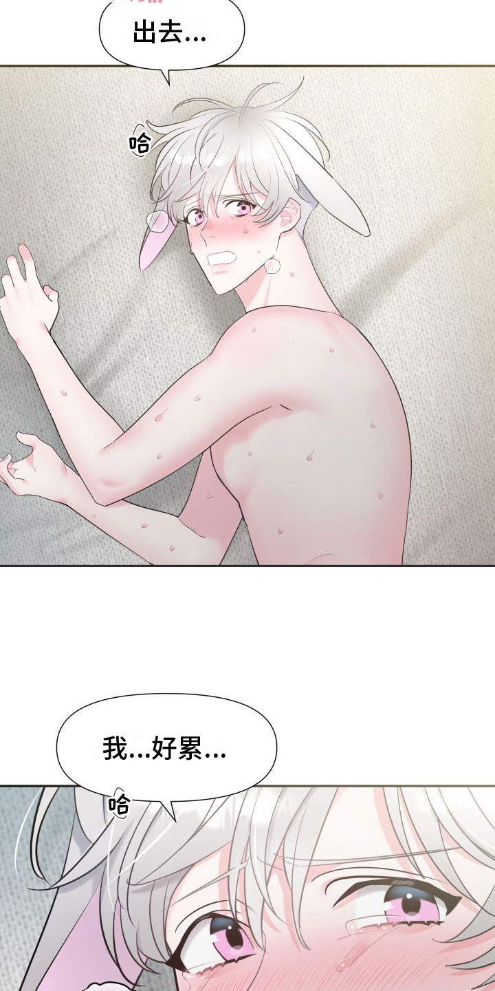 《豹子爱上兔》漫画最新章节第6章：不后悔免费下拉式在线观看章节第【3】张图片