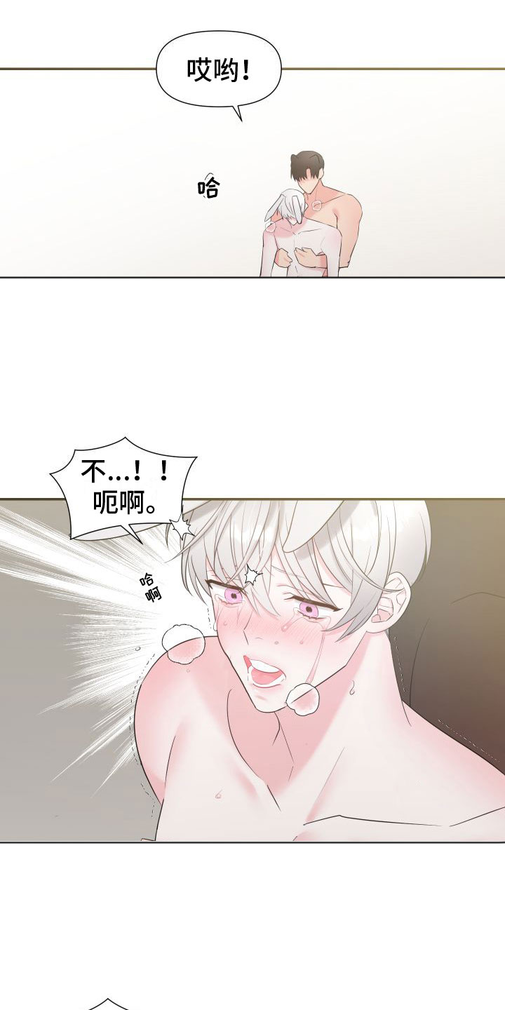 《豹子爱上兔》漫画最新章节第6章：不后悔免费下拉式在线观看章节第【7】张图片