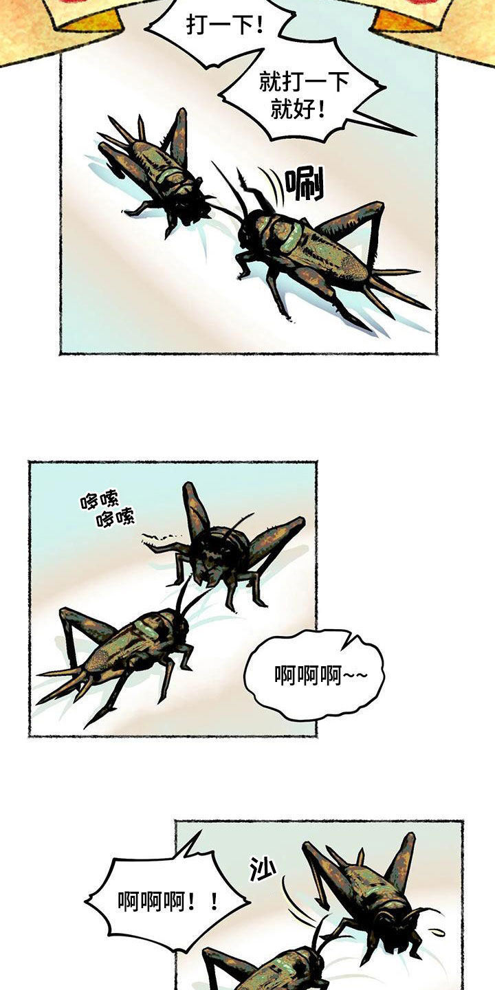 《青孀驸马》漫画最新章节第25章：斗蛐蛐免费下拉式在线观看章节第【18】张图片