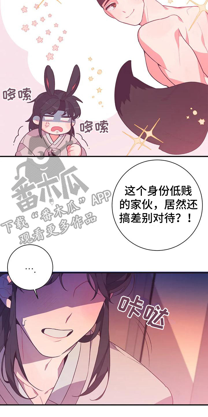 《糟糕的童话男篇》漫画最新章节第12章：兔子的处境：拒绝免费下拉式在线观看章节第【3】张图片