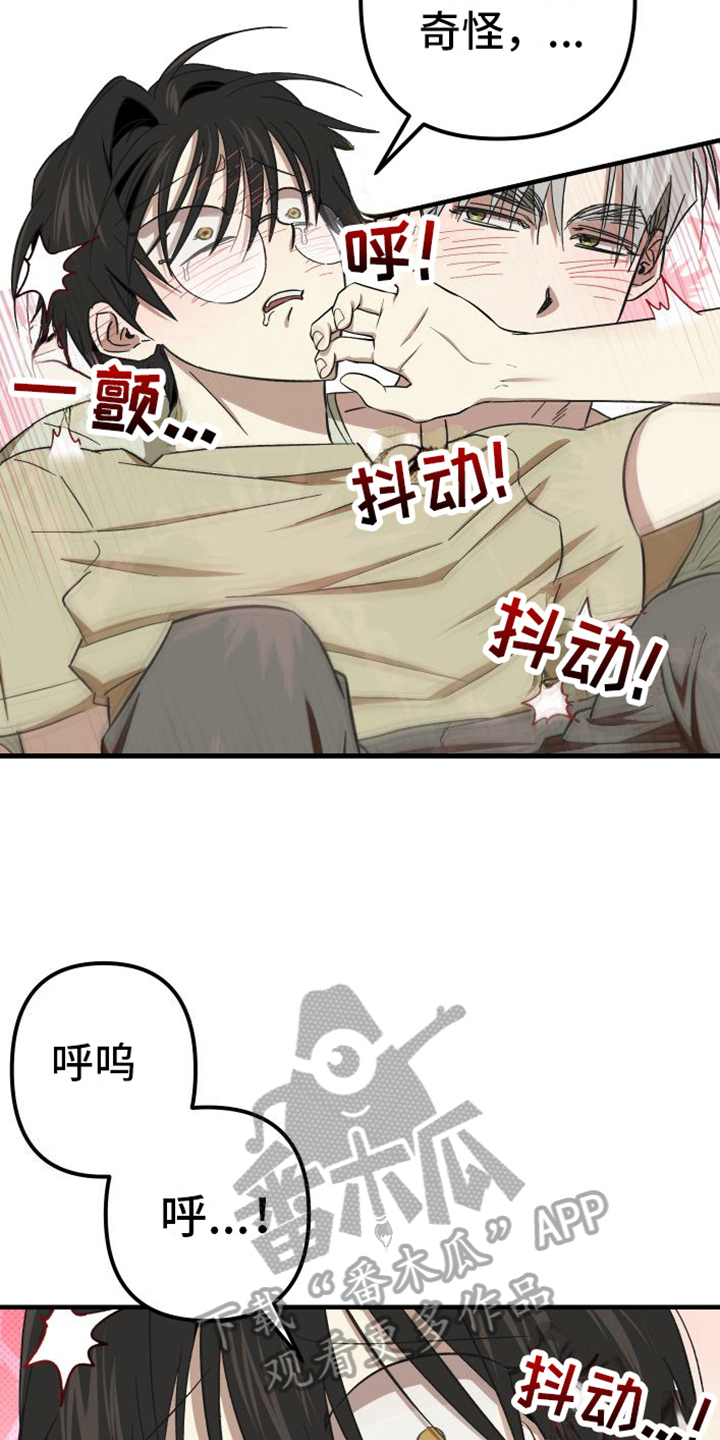 《镜框下的怜爱》漫画最新章节第9章：特别免费下拉式在线观看章节第【9】张图片