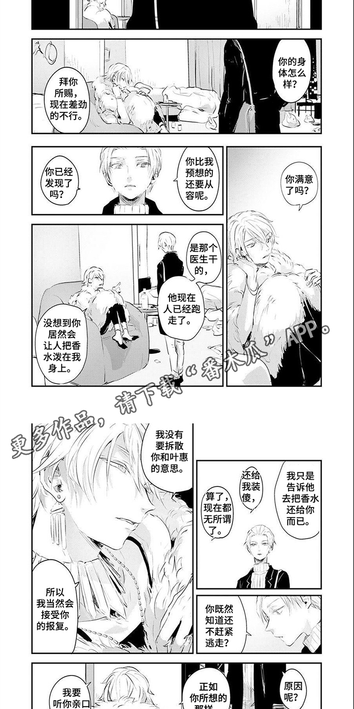 《遗失的费洛蒙》漫画最新章节第13章：不后悔免费下拉式在线观看章节第【5】张图片