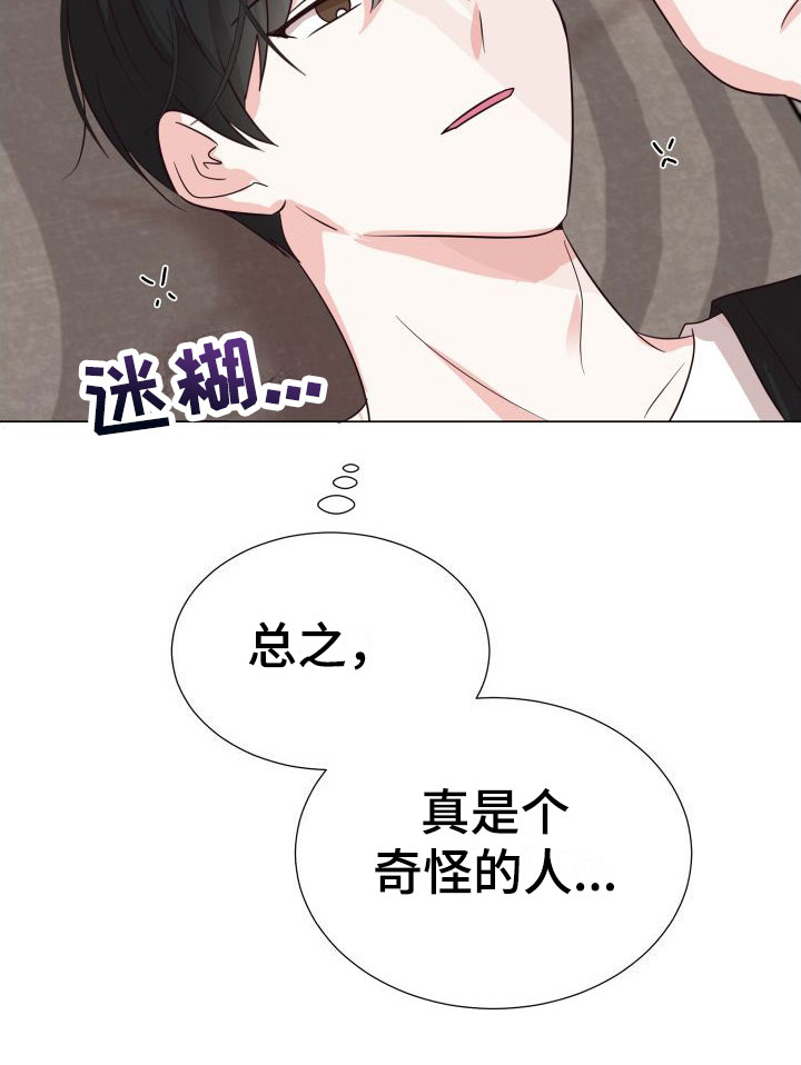 《梦中游情》漫画最新章节第2章：奇怪的人免费下拉式在线观看章节第【1】张图片