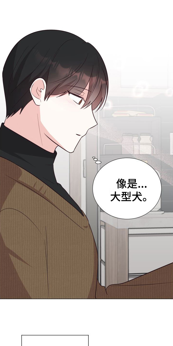 《梦中游情》漫画最新章节第8章：可爱免费下拉式在线观看章节第【12】张图片