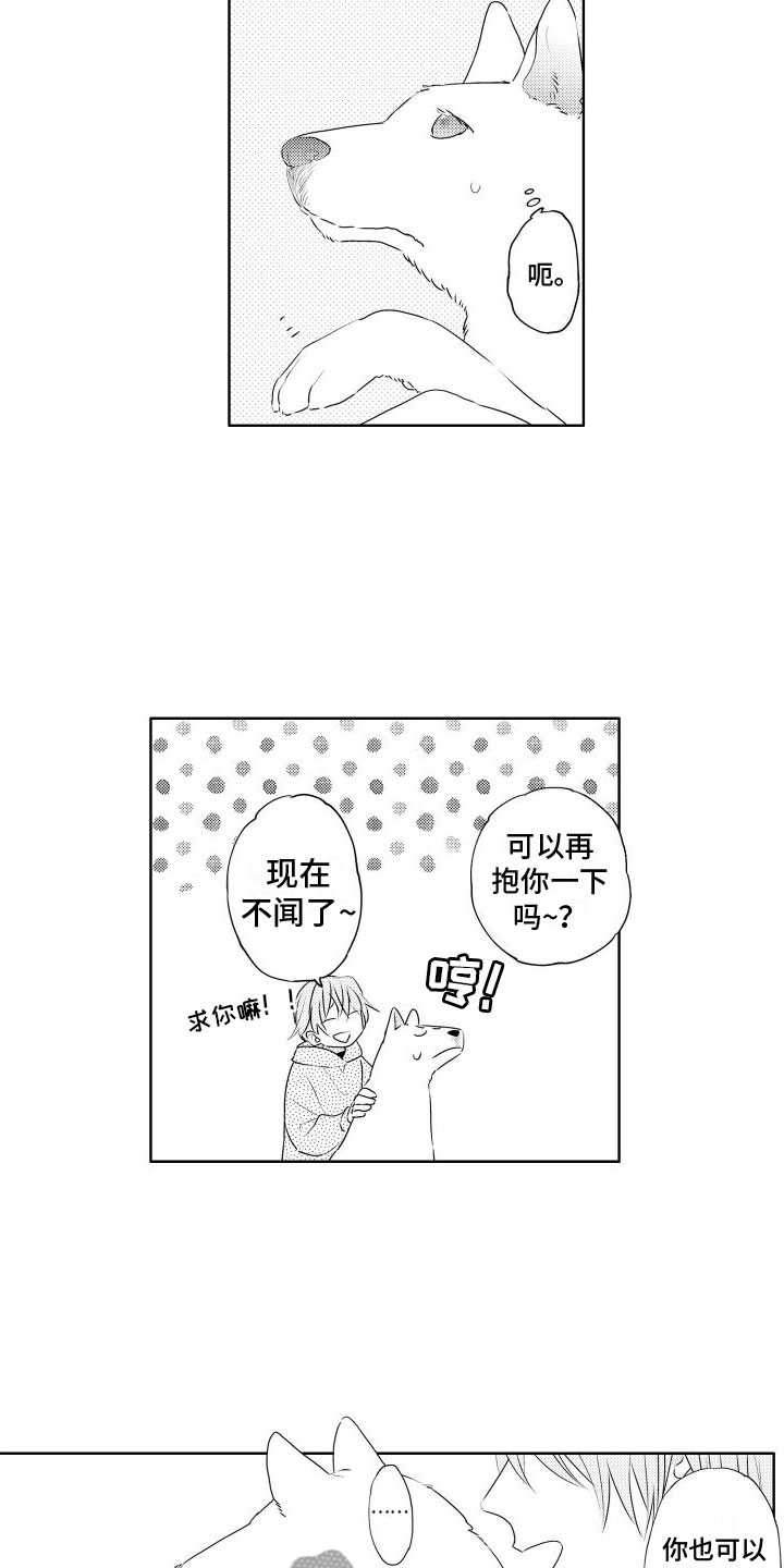 《猫的密语》漫画最新章节第7章：不好意思免费下拉式在线观看章节第【6】张图片