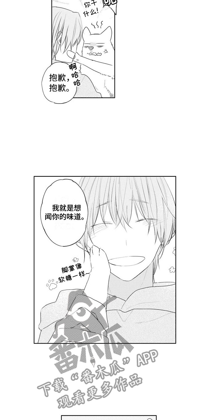 《猫的密语》漫画最新章节第7章：不好意思免费下拉式在线观看章节第【7】张图片