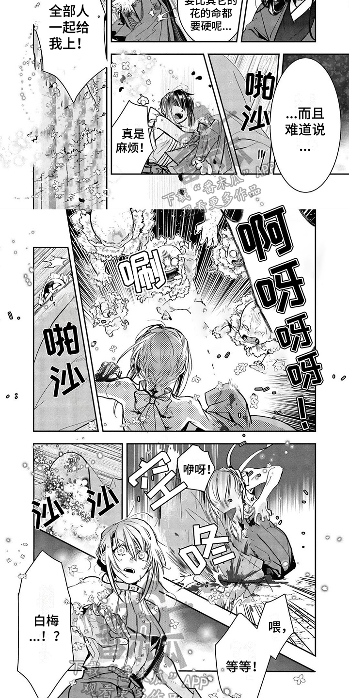 《白色花烛》漫画最新章节第14章：沈香免费下拉式在线观看章节第【5】张图片