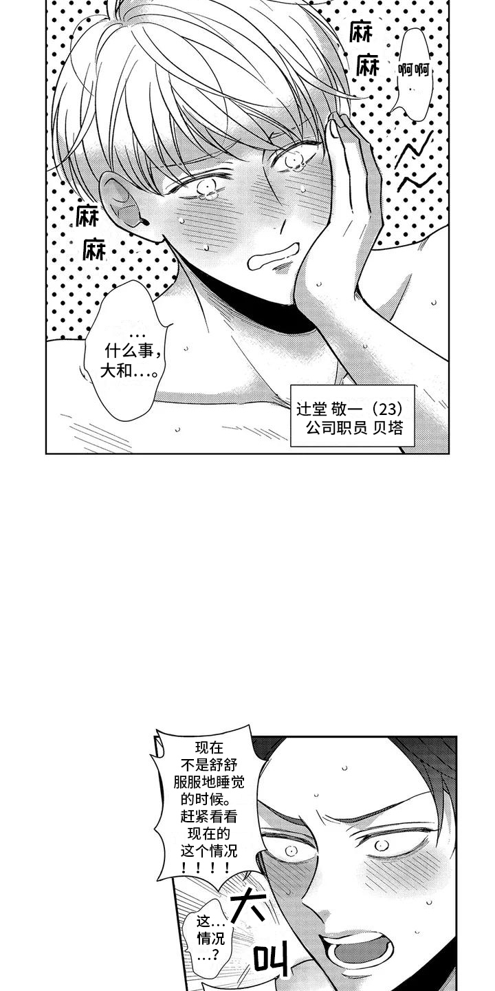 《伴侣体验》漫画最新章节第1章：免费体验免费下拉式在线观看章节第【10】张图片