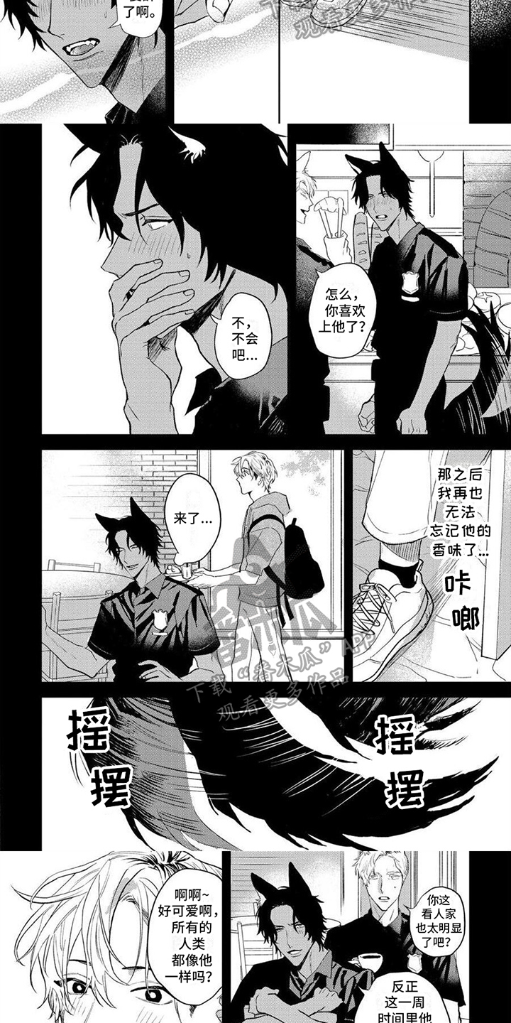 《狼的蜜语》漫画最新章节第7章：焦急免费下拉式在线观看章节第【5】张图片