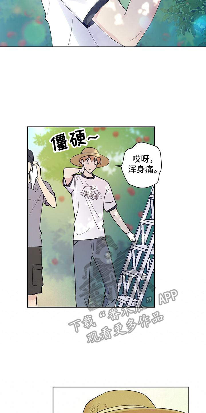 《给我全部的爱》漫画最新章节第14章：摘苹果免费下拉式在线观看章节第【9】张图片