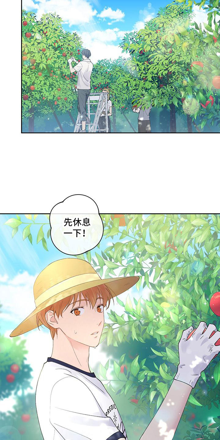 《给我全部的爱》漫画最新章节第14章：摘苹果免费下拉式在线观看章节第【10】张图片