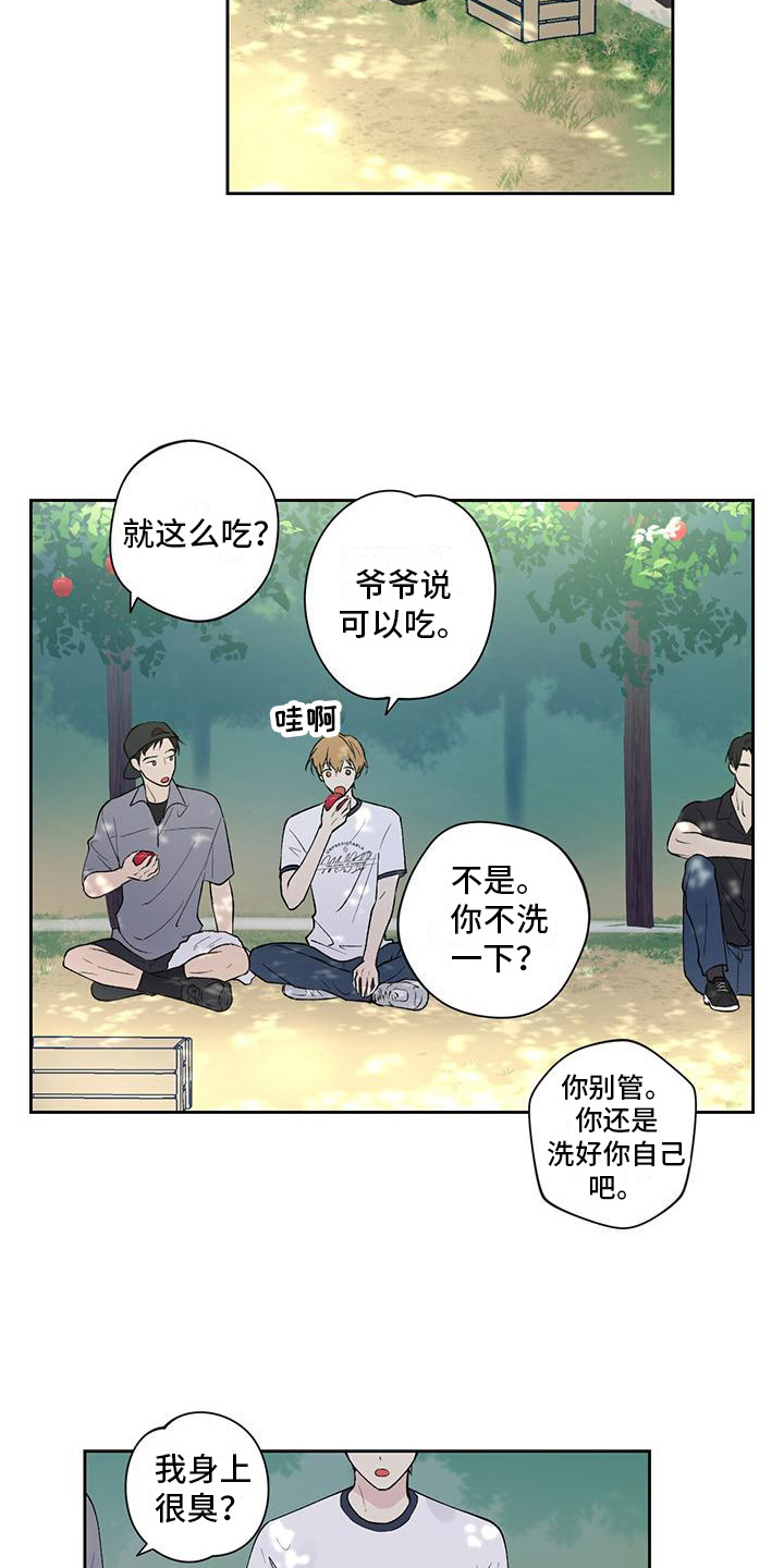 《给我全部的爱》漫画最新章节第14章：摘苹果免费下拉式在线观看章节第【5】张图片