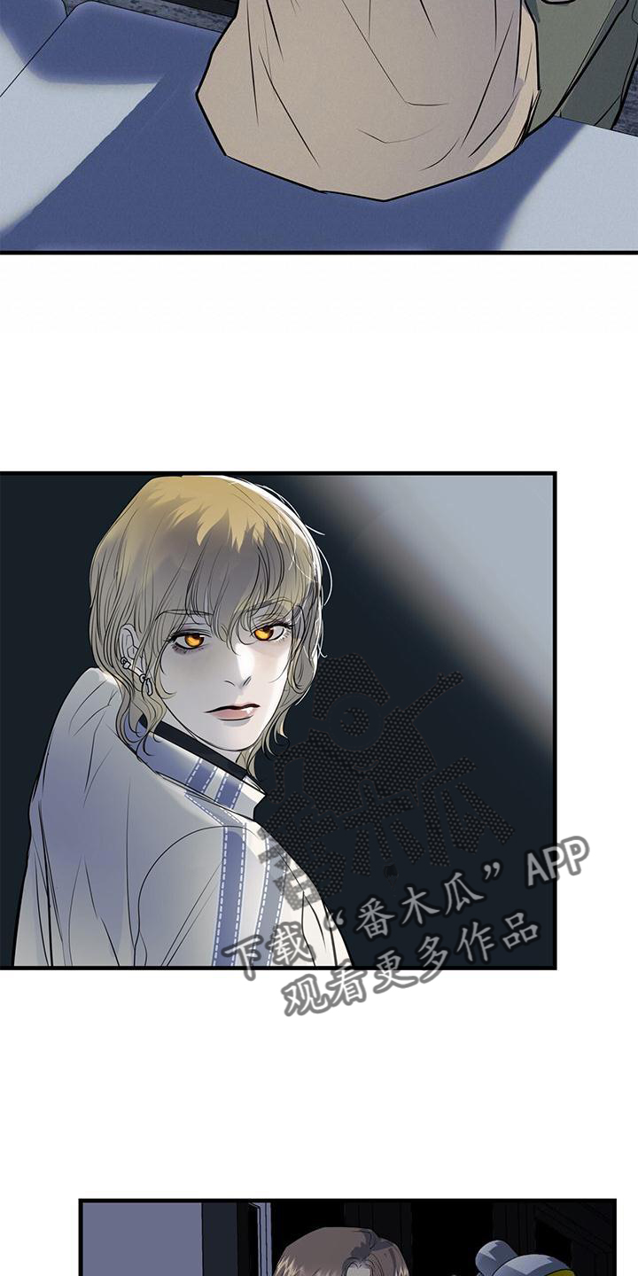 《镜子里的陌生人》漫画最新章节第20章：到访免费下拉式在线观看章节第【17】张图片